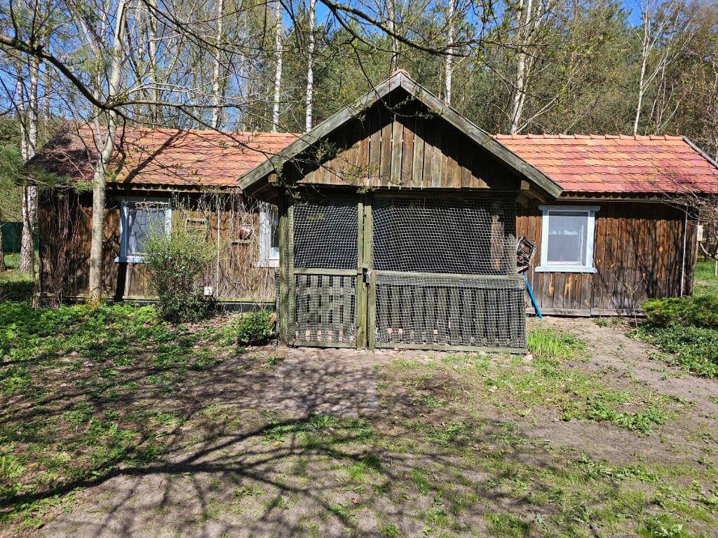 cDomek na wynajem, Dom Pod Brzozami, Bory Tucholskie Domek na wynajem (12)