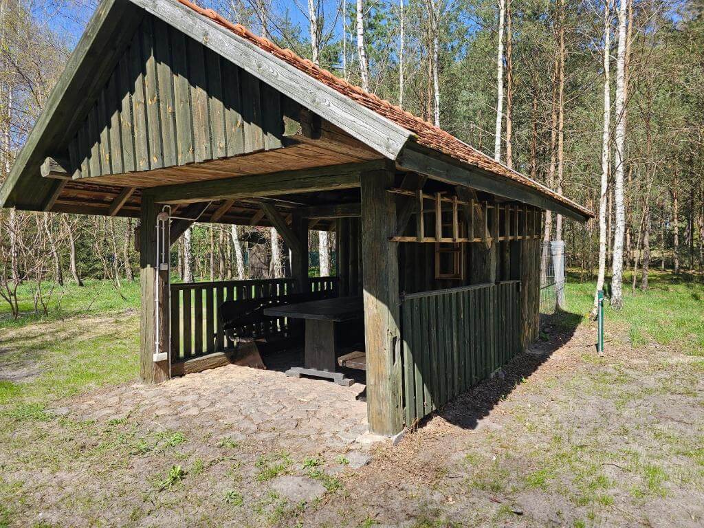 Domek na wynajem, Dom Pod Brzozami, Bory Tucholskie Domek na wynajem (13)