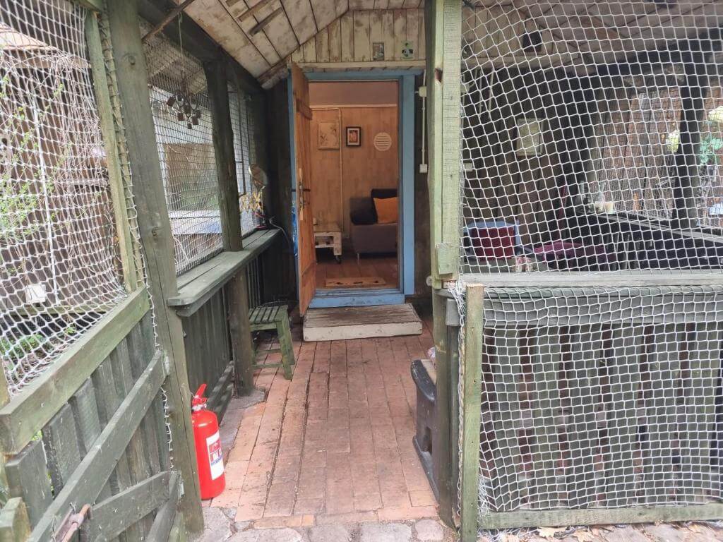 Domek na wynajem, Dom Pod Brzozami, Bory Tucholskie Domek na wynajem (15)