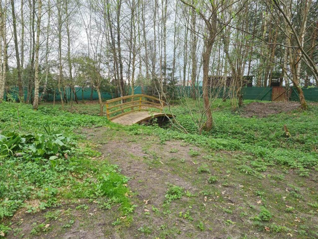 Domek na wynajem, Dom Pod Brzozami, Bory Tucholskie Domek na wynajem (21)