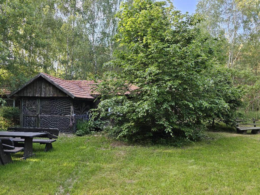 Domek na wynajem, Dom Pod Brzozami, Bory Tucholskie Domek na wynajem (27)