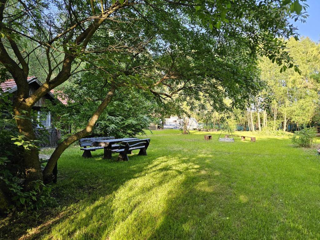 Domek na wynajem, Dom Pod Brzozami, Bory Tucholskie Domek na wynajem (28)